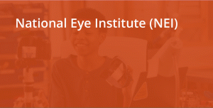 National Eye Institute (NEI)