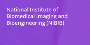 National Institute of Biomedical Imaging and Bioengineering (NIBIB)