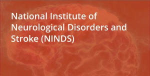 National Institute of Neurological Disorders and Stroke (NINDS)