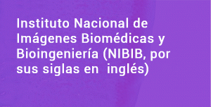 Instituto Nacional de Imágenes Biomédicas y Bioingeniería (NIBIB, por sus siglas en inglés) 